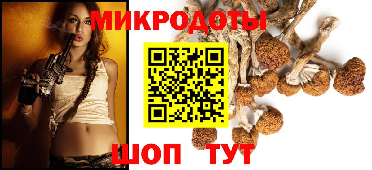 Галлюциногенные грибы Psilocybine cubensis  Вход с VPN  Черняховск  Галлюциногенные грибы мухоморы 